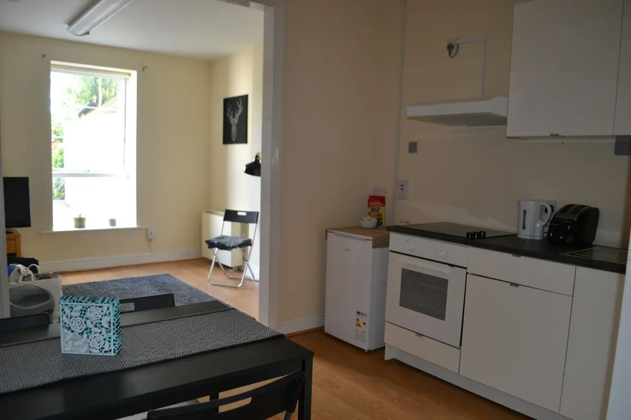 دبلن South Lotts Apartments
